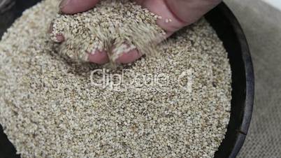 hand grips into seed grains bowl
