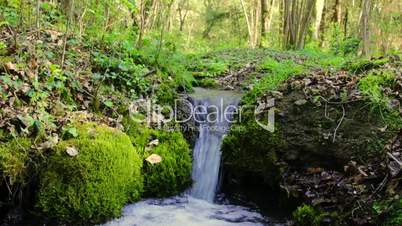 Forest Waterfall Nature Lanscape running water audio video