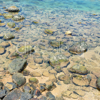 seabed with rocks and corals