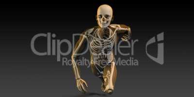 Radiography Scan with Bones