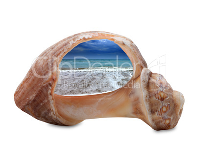 Sea beach in sun evening through broken rapana shell