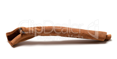 Cinnamon stick on white