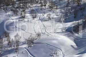 Off-piste slope with track from ski and snowboard on sunny day