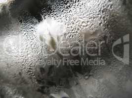 Abstract glass background - Water condensation on the cold  glas