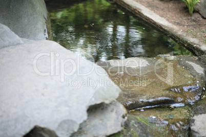 japan garden at day