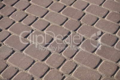 Cobblestone Pavement at day