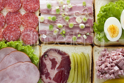 Still life of sandwiches