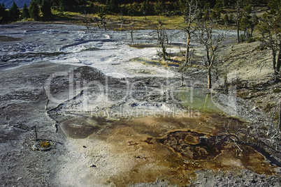 Yellowstone National Park