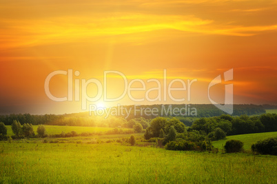 field, sunrise and blue sky