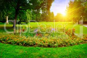 summer park with beautiful flowerbeds