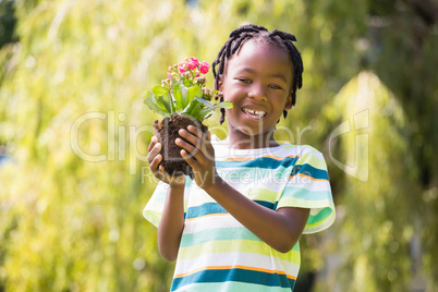 Portrait of boy holding a plant