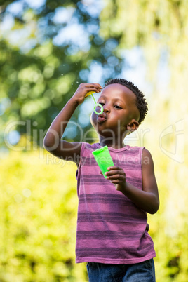 Cute mixed-race boy playing with bubbles