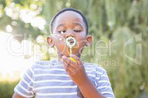 Boy making bubble with bubble wand