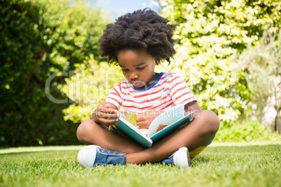 Boy reading a book in a park