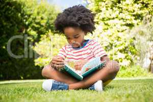 Boy reading a book in a park