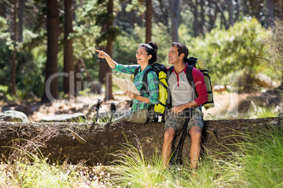 Couple pointing and sitting on a tree