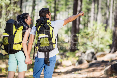 Couple from the back pointing and holding hands