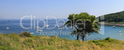 Blue lagoon, island paradise. Adriatic Sea of Croatia. panorama