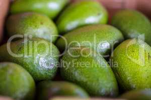 Green avocados at farmer market