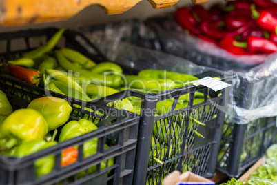 Bio ecological vegetables market