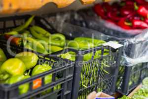 Bio ecological vegetables market