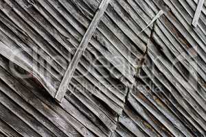 Old wood texture