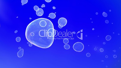 Soap Bubbles Background (Loop on Blue Screen)