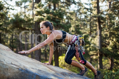 Sporty woman climbing a rock