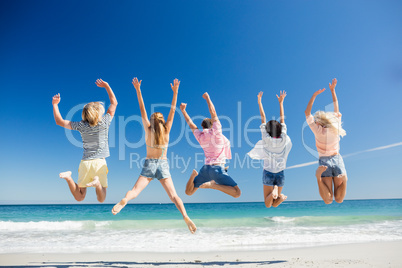 Portrait of friends posing at the beach