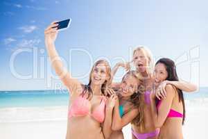 Portrait of friends posing at the beach