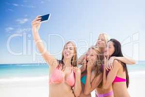 Portrait of friends posing at the beach