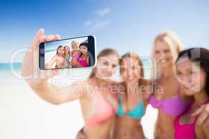 Portrait of friends posing at the beach