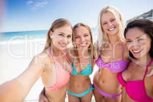 Portrait of friends posing at the beach