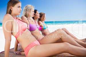 Portrait of friends posing at the beach