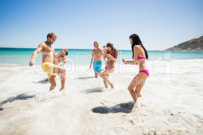 Friends having fun at the beach