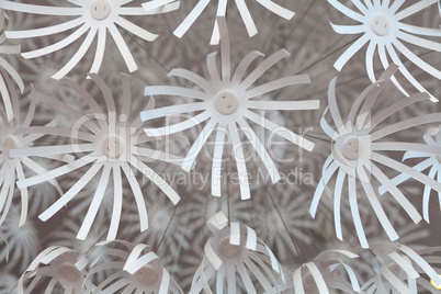 White plastic flowers, detail from the chandelier