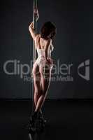 Shot of dancer on the pole posing in sexy lingerie