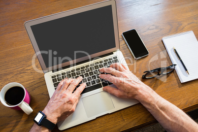 Businessman using a laptop