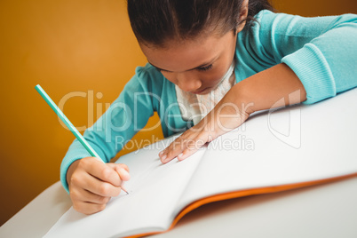 Girl writing in her notebook
