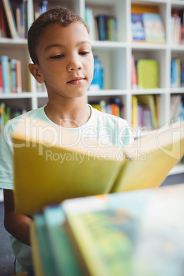 Little boy reading a book