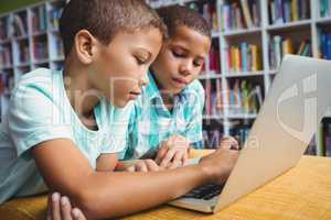 Little boys using a laptop