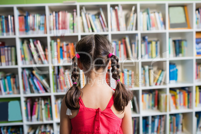 Rear view of a girl with braids