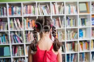 Rear view of a girl with braids