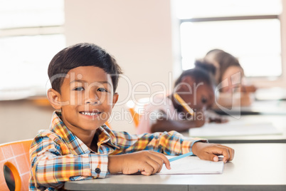 A cute pupil posing at his desk
