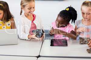 Girls looking at rock with magnifying glass