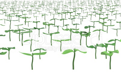 field with planted sprouts 3d illustration