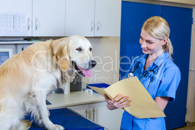 A smiling vet looking a dog