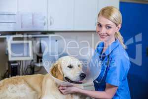 A woman vet putting a collar to a dog