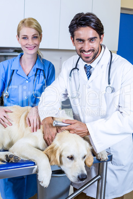 Two vets petting a dog