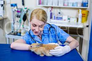 A woman vet petting a rabbit